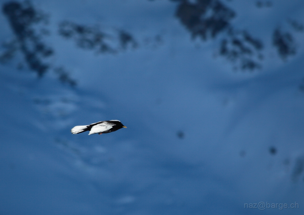 EOS 5D Mark II15_01_20120269.JPG